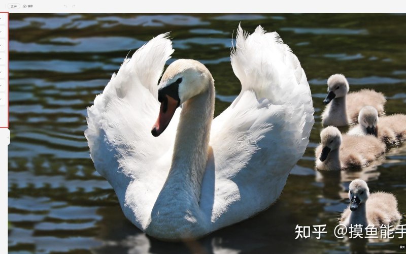 纺织服装图形图像单机版软件